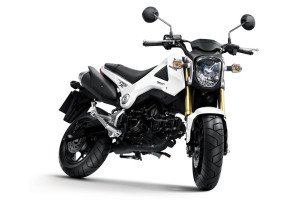 200-Polizeibeaqmte-suchen-gestohlene-Motorräder_02