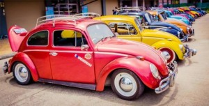VW Käfer Parade