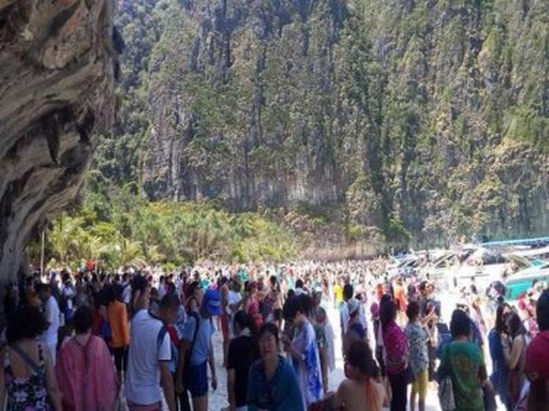 Milliarden Baht Schwindel beim führenden Meerespark Thailands auf der Insel Phi Phi