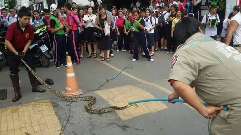 Python in einer Schule in Chiang Mai versetzt Studenten in Panik