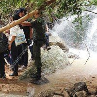Farmer bestellen illegales Land und sollen erst nach der Ernte zur Rechenschaft gezogen werden