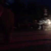 Aufgeschreckter Elefant verletzt neun Touristen bei einer Nacht Safari in Chiang Mai