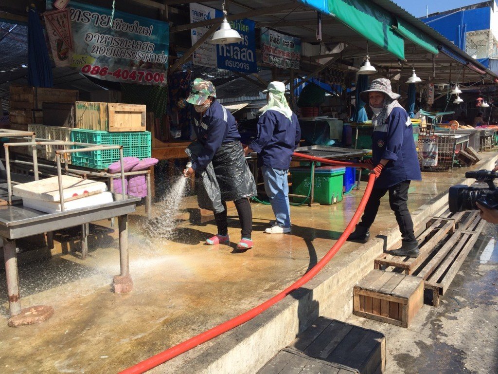 Video über Ratten auf dem Markt von Chiang Mai ekelt die Benutzer an