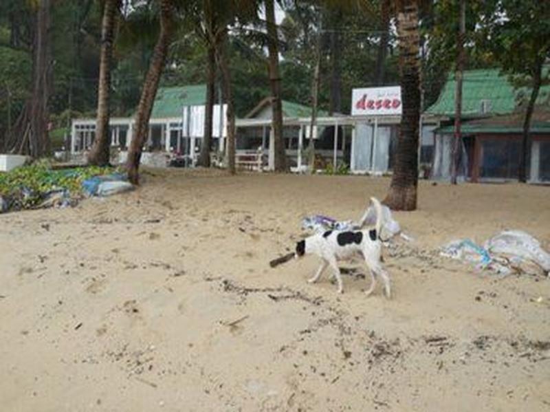 Der Strand von Surin wird für Touristen für drei Tage gesperrt