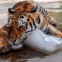 Premierminister Prayuth sorgt sich um die Menschen, die bei der Hitze im Freien arbeiten müssen