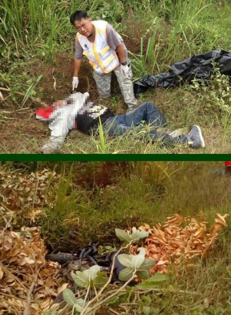 Schwedischer Motorradfahrer bei Verkehrsunfall getötet