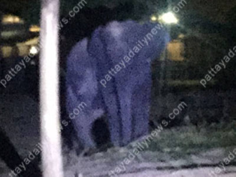 Tourist wird bei einer Touristenattraktion in Pattaya von einem Elefanten getötet