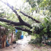 Heftige Stürme verursachen auf Phuket zahlreiche Schäden an Häusern