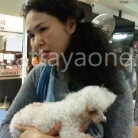 Finne greift den Hund einer Restaurant Besitzerin an