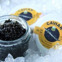 Königsprojekt startet den Verkauf von lokal produziertem Kaviar