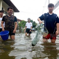 Die Stadtverwaltung in Bangkok ist gegenüber den Flutproblemen blind, sagen Wissenschaftler