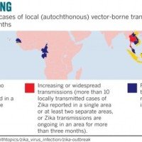 Wegen Ausbreitung des Zika Virus wurde Thailand auf Alarmstufe Rot gesetzt