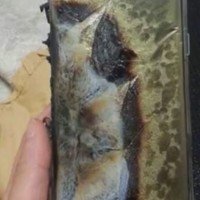 Wegen Batterieexplosionen stoppt Samsung den Verkauf seines Galaxy Note 7