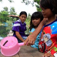 Zu den Überschwemmungen in Ayutthaya kommt jetzt noch eine Blutegel Plage