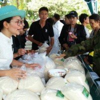 In nur drei Stunden verkaufen Bauern in Sisaket acht Tonnen Jasmin Reis