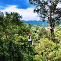 Erneuter Unfall mit Touristen bei „Flight oft the Gibbon“ in Chiang Mai