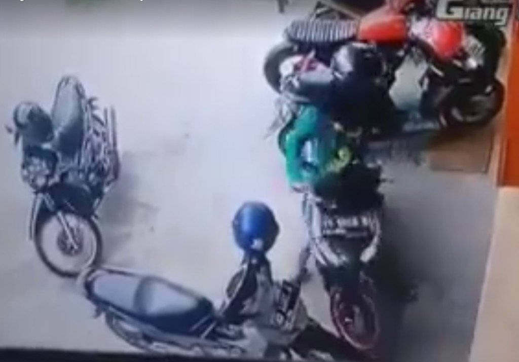 Schmunzel Video der Woche