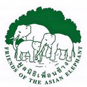 Asian Elephant Foundation