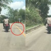 Video: Schlange greift Motorradfahrer an