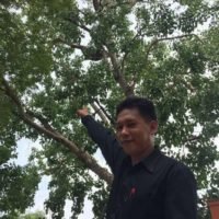 20 Kinder nach Bienen Angriff in Nakhon Sawan verletzt