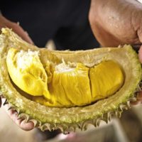 Durian und Rambutan Exporte sollen 30 Milliarden Baht einbringen