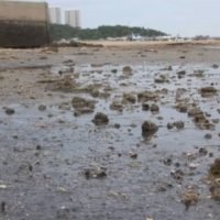 Krise am Strand von Pattaya nimmt kein Ende