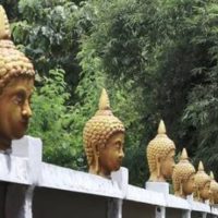Amerikanisch – thailändisches Paar muss 33 Buddha Köpfe von ihrem Grundstück entfernen