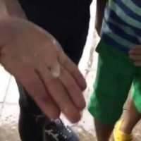 Hagel und Überschwemmungen auf dem beliebten Chatuchak Wochenmarkt