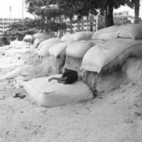Pattayas angeblicher Weltklasse Strand sieht eher aus wie eine Kriegszone