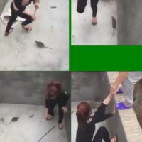 Wütende Ratte greift eine Frau an