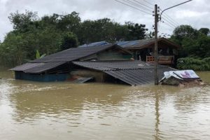 Noch immer 800.000 Menschen im Süden vom Hochwasser betroffen