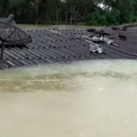 Behörden lösen Katastrophenalarm für den Süden aus