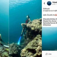Drei thailändische Touristen wegen Meerjungfrau Pose auf einer Bergkoralle bestraft