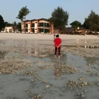 Tourismusbehörde warnt die chinesischen Touristen: „Hören sie auf, das schöne Thailand zu zerstören“