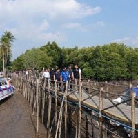 Behörden entdecken vier illegal gebaute Piers für Touristenboote in Phang Nga