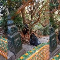 Thais loben einen Ausländer der Müll in einem Tempel in Chiang Mai einsammelt