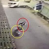Motorradfahrer stirbt an den Folgen eines Fußtritts eines Polizei Volontärs gegen sein Motorrad