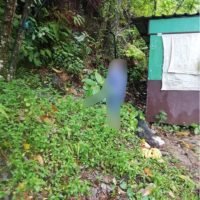 24-jähriger Schwede erhängt am Patong Hügel auf Phuket gefunden