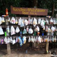 Nationalparks und Zoos verbieten ab sofort Plastik und Styropor