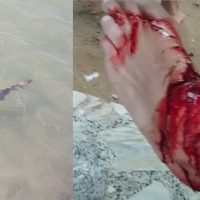 Auch zwei Monate nach dem Bullenhai Angriff vor Hua Hin gibt es noch immer kein Sicherheitsnetz.
