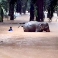 Die Provinz Chumphon wurde wegen des konstant starken Regen in Alarmbereitschaft versetzt