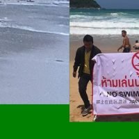 Touristen auf Phuket ignorieren Krokodil Warnung und gehen trotzdem schwimmen