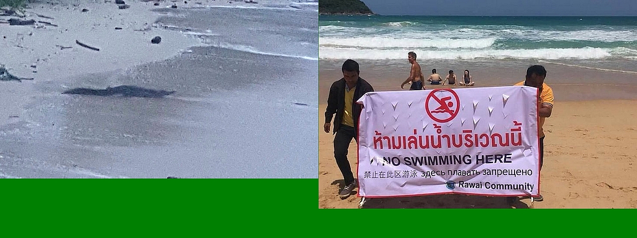 Touristen auf Phuket ignorieren Krokodil Warnung und gehen trotzdem schwimmen