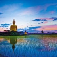 Die Besucher in Thailand sind von Januar bis Juli um 11 % gestiegen