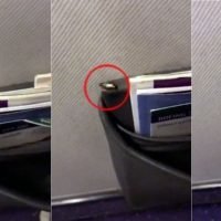 Thai Airways entschuldigt sich für Kakerlaken an Bord einer Maschine