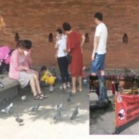 Chinesische Touristen in Chiang Mai ignorieren die Befehle des Premierministers