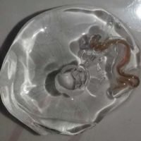 Ein Facebook Nutzer warnt vor Parasiten im Eis