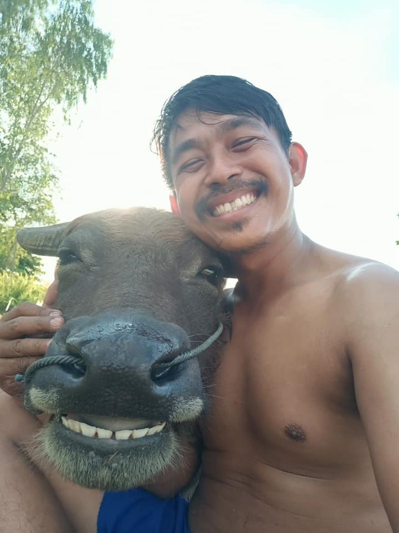 Lächelnder Wasserbüffel erobert die Herzen der Thais in den sozialen Netzwerken