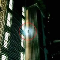 Asiatischer Schwarzbär klettert bis in die 6. Etage einer Wohnanlage