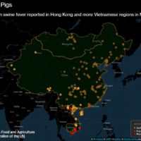 Thailand ist wegen der sich weiter ausbreitenden Schweinepest auf Alarmstufe Rot